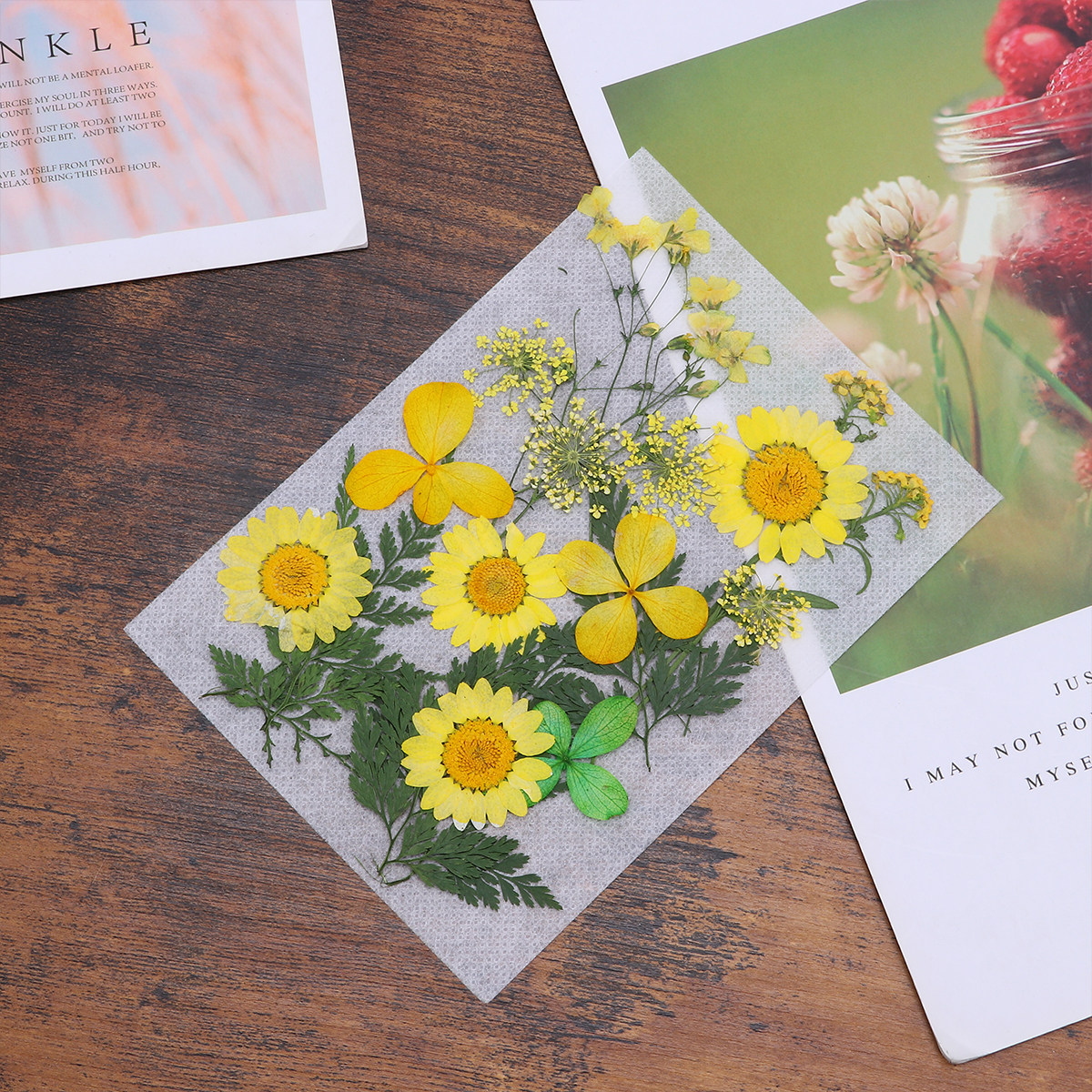 Art Craft Idea - Dried Flower Material Pack Realistic Natural