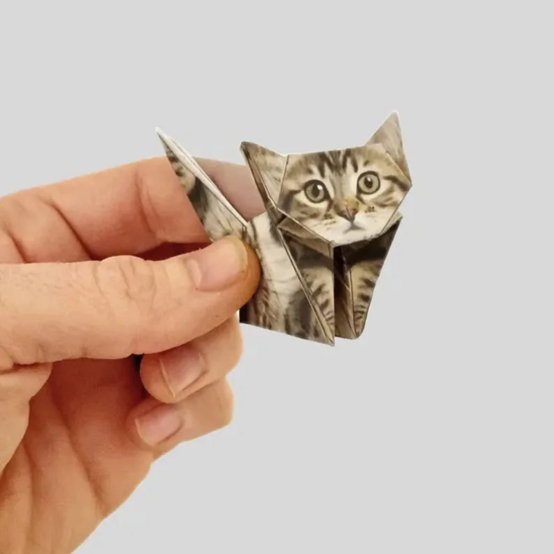 Creative DIY Origami Paper Set - Dinosaur And Craft ulasan dan harga