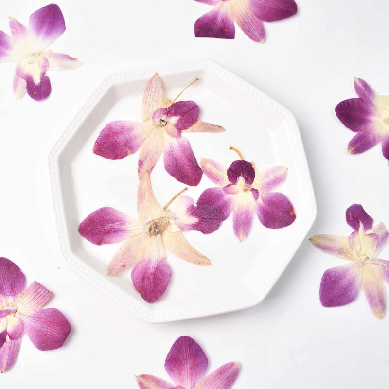 4pcs,Real Pressed Butterfly Or - Art And Craft Photos ulasan dan harga
