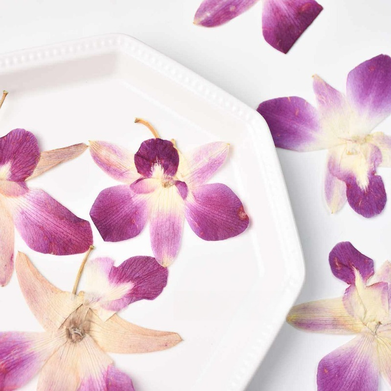 4pcs,Real Pressed Butterfly Or - Art And Craft Photos ulasan dan harga