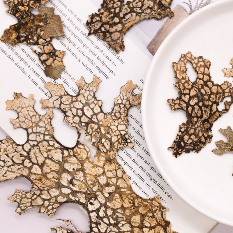 4pcs,Rare Bark Natural Pressed - Art And Craft Photos ulasan dan harga