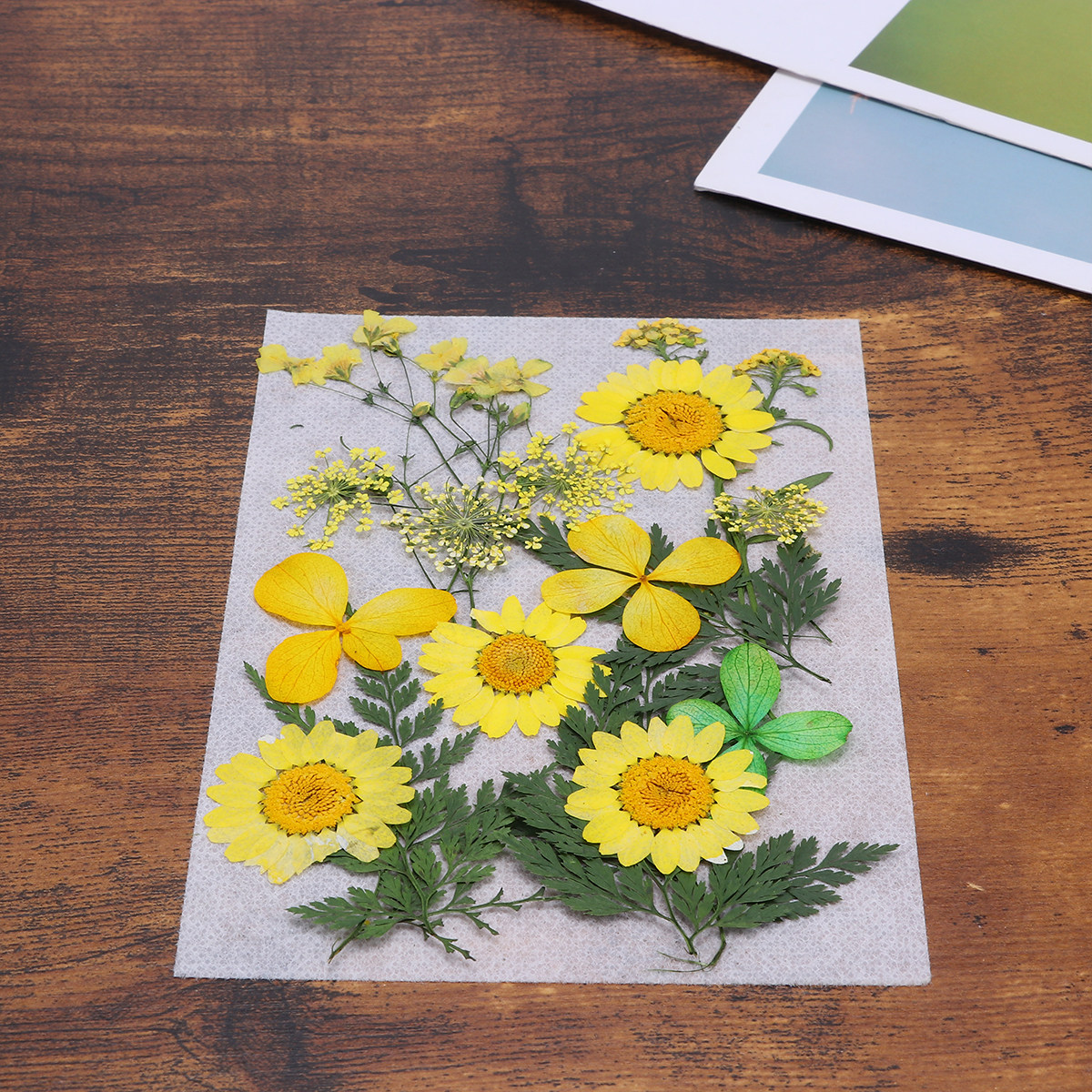 Dried Flower Material Pack Rea - Art Craft Idea ulasan dan harga