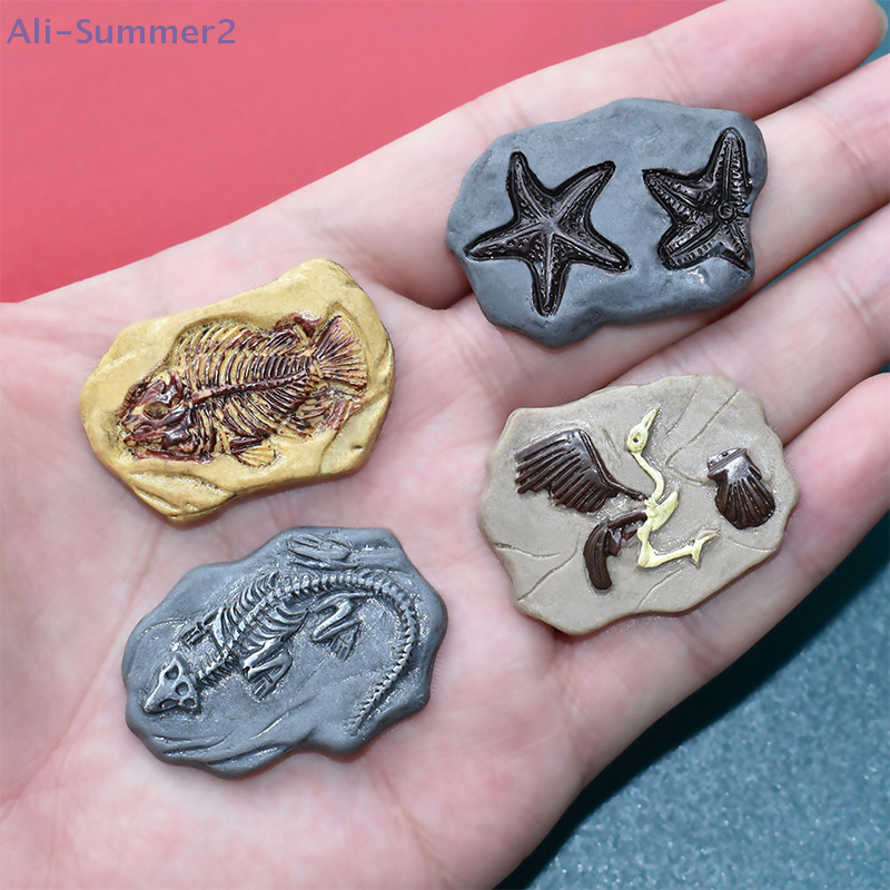 Mini Dinosaur Fossil Model Set - Dinosaur And Craft ulasan dan harga