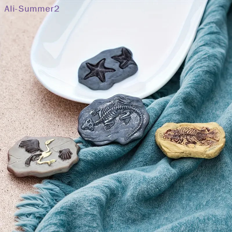 Mini Dinosaur Fossil Model Set - Dinosaur And Craft ulasan dan harga