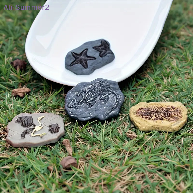 Mini Dinosaur Fossil Model Set - Dinosaur And Craft ulasan dan harga