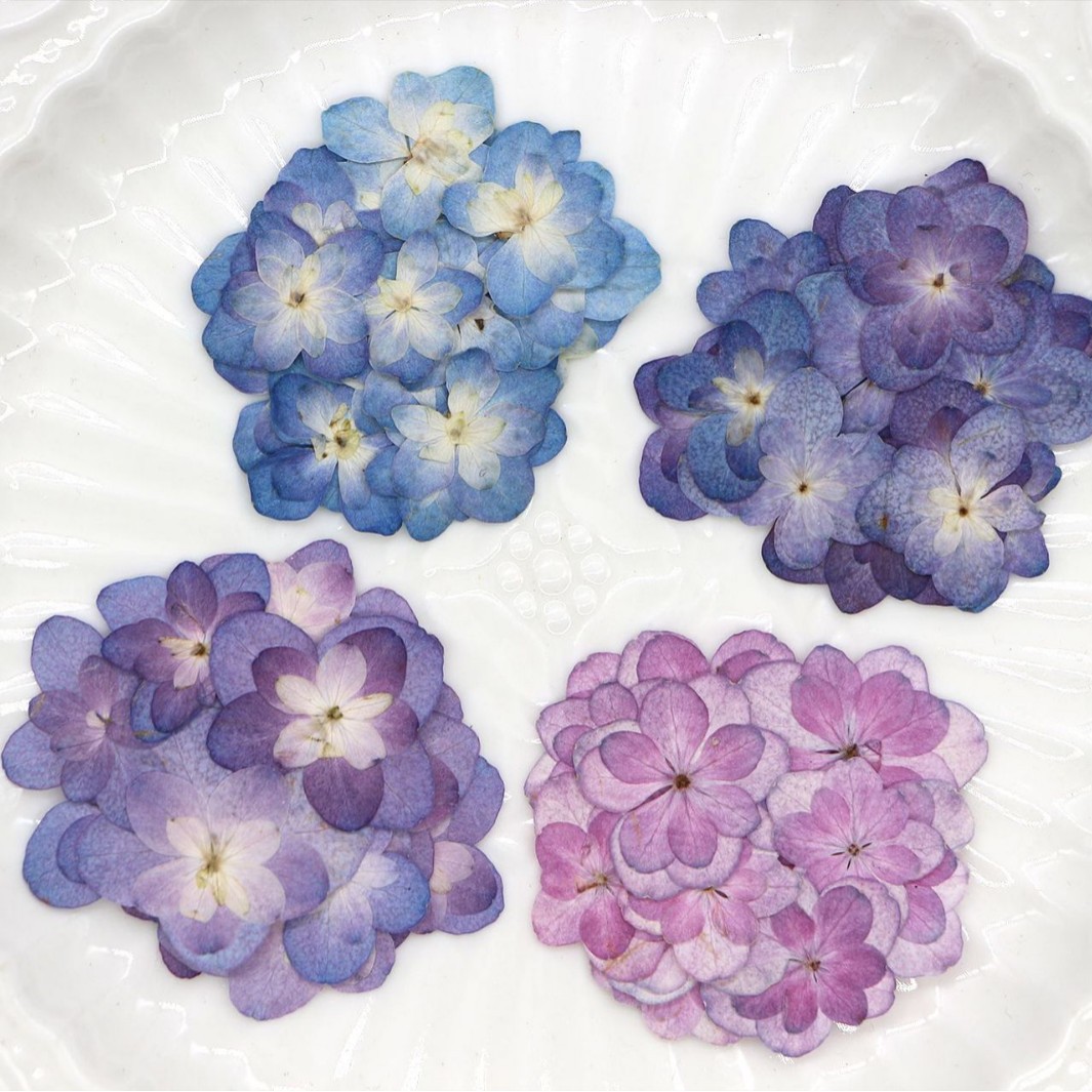 60Pcs Mini Double-Flowered Hyd - Art And Craft Photos ulasan dan harga