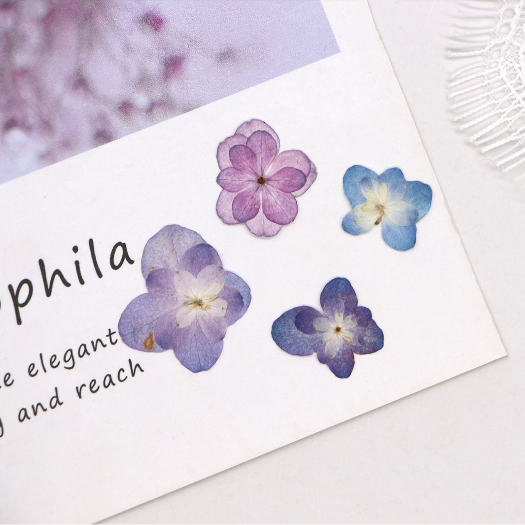 60Pcs Mini Double-Flowered Hyd - Art And Craft Photos ulasan dan harga