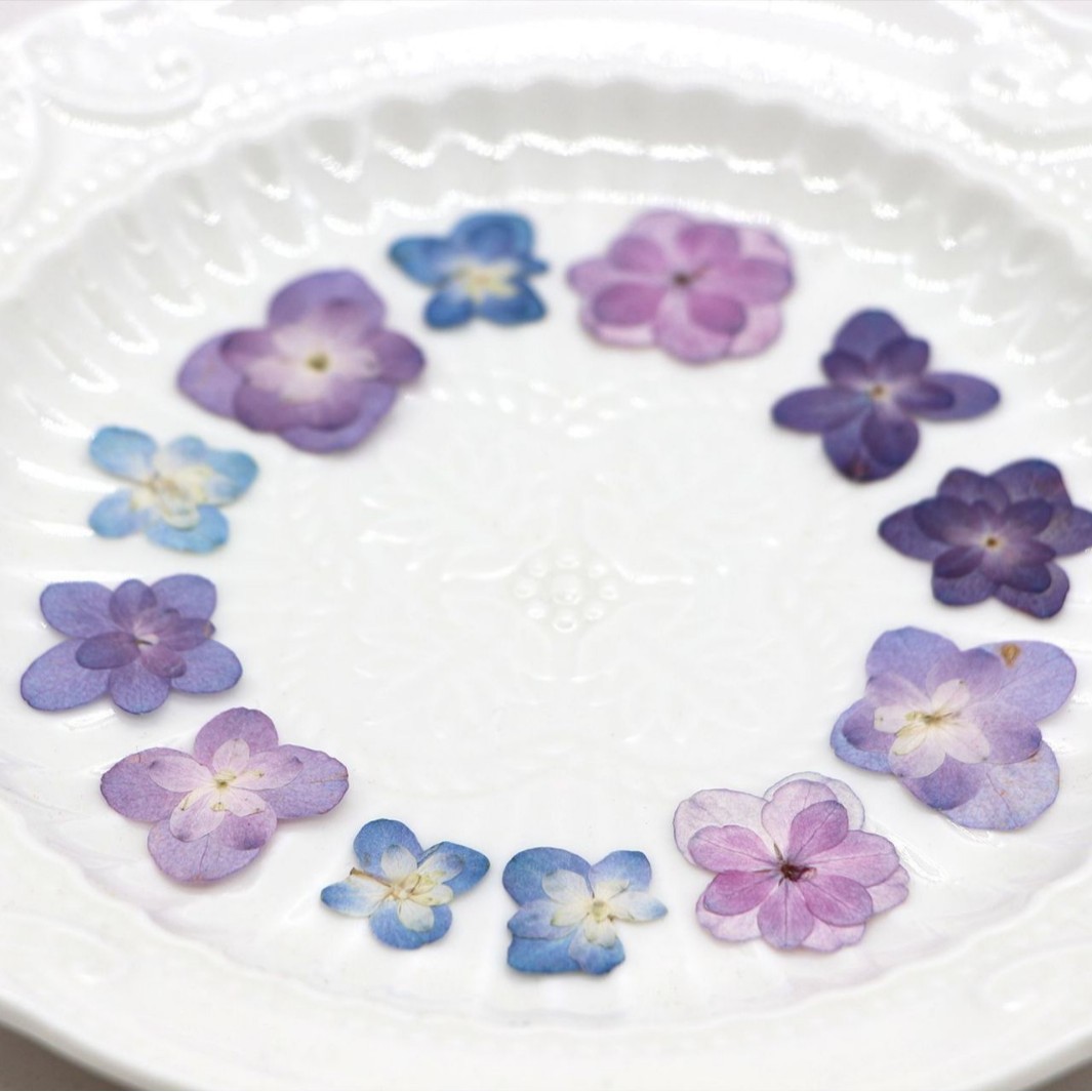 60Pcs Mini Double-Flowered Hyd - Art And Craft Photos ulasan dan harga