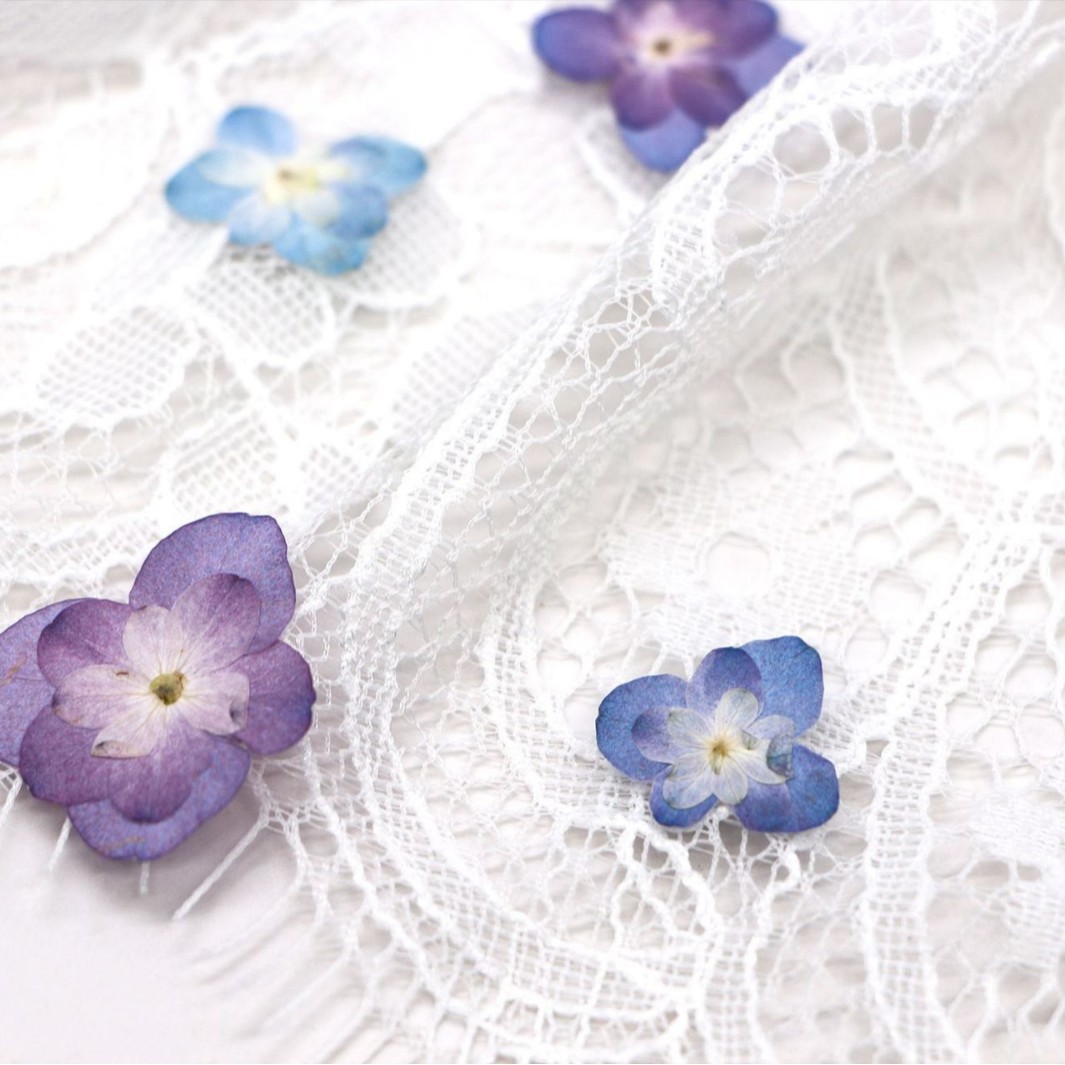 60Pcs Mini Double-Flowered Hyd - Art And Craft Photos ulasan dan harga
